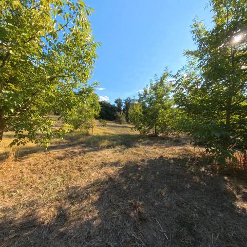 Terreno en Venta en Castaño del Robledo