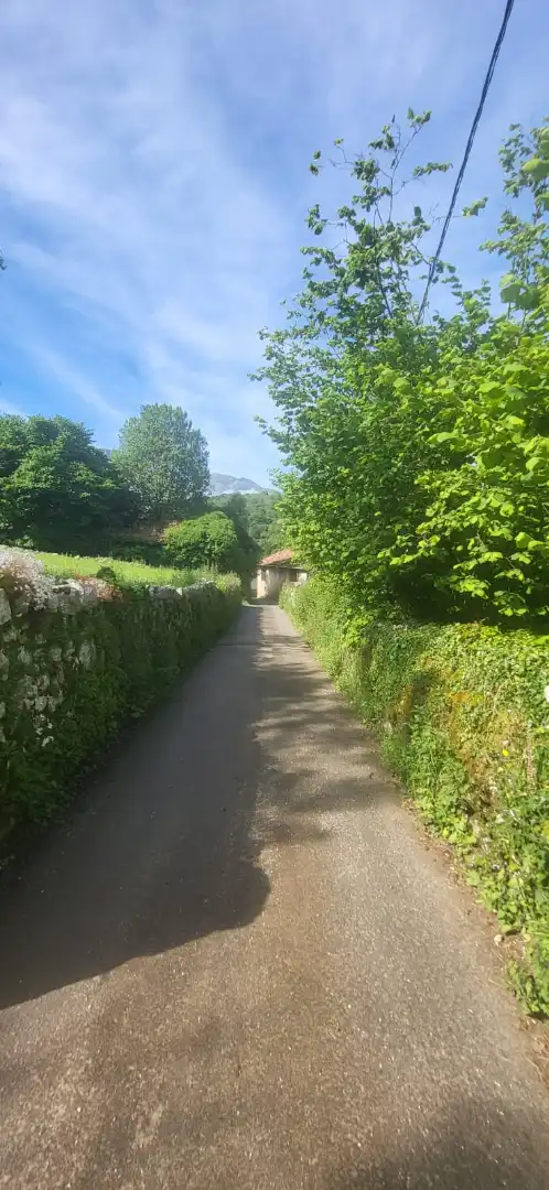 Country house zum Verkauf in Lugar Puertas, 2, Cabrales