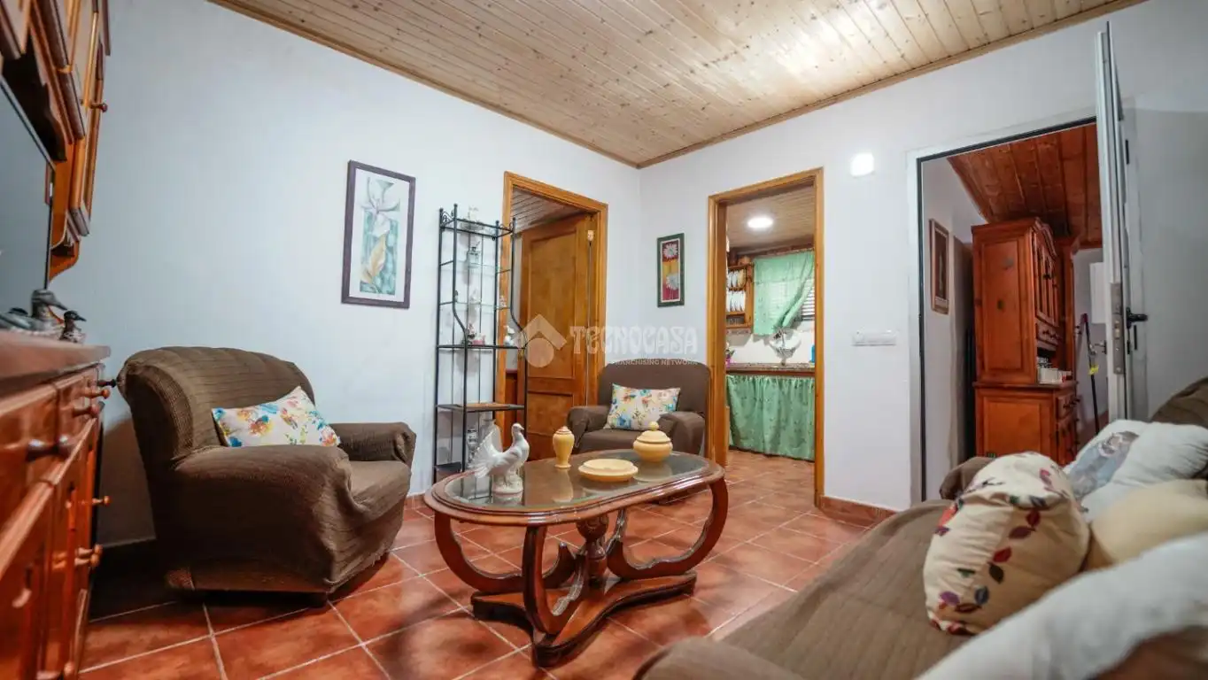 Sala de estar de Finca rústica en venta en Agulo