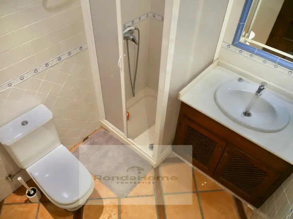 Villa in vendita a Centro ciudad, imagen 39