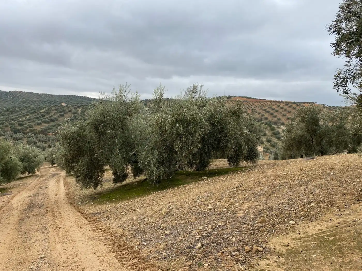 Casa rustica in vendita a Huétor Tájar, imagen 63