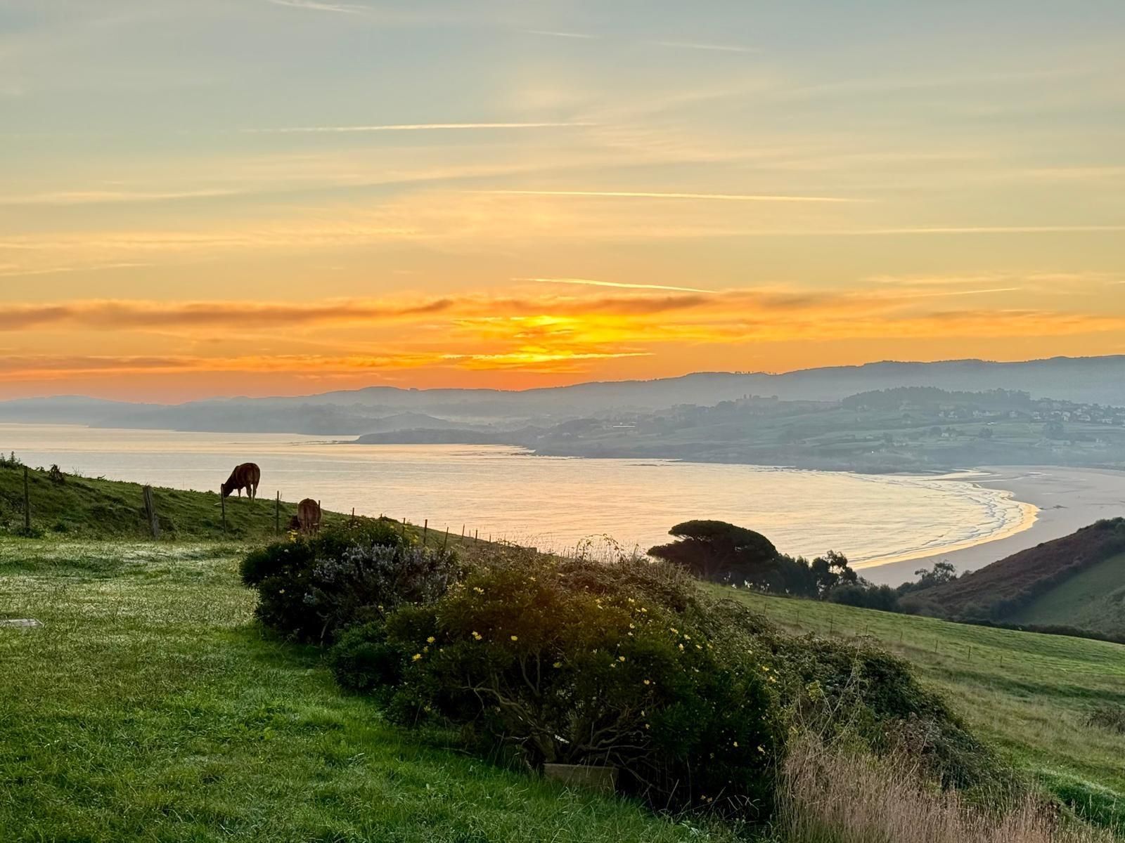 Vista exterior de Residencial en venta en San Vicente de la Barquera