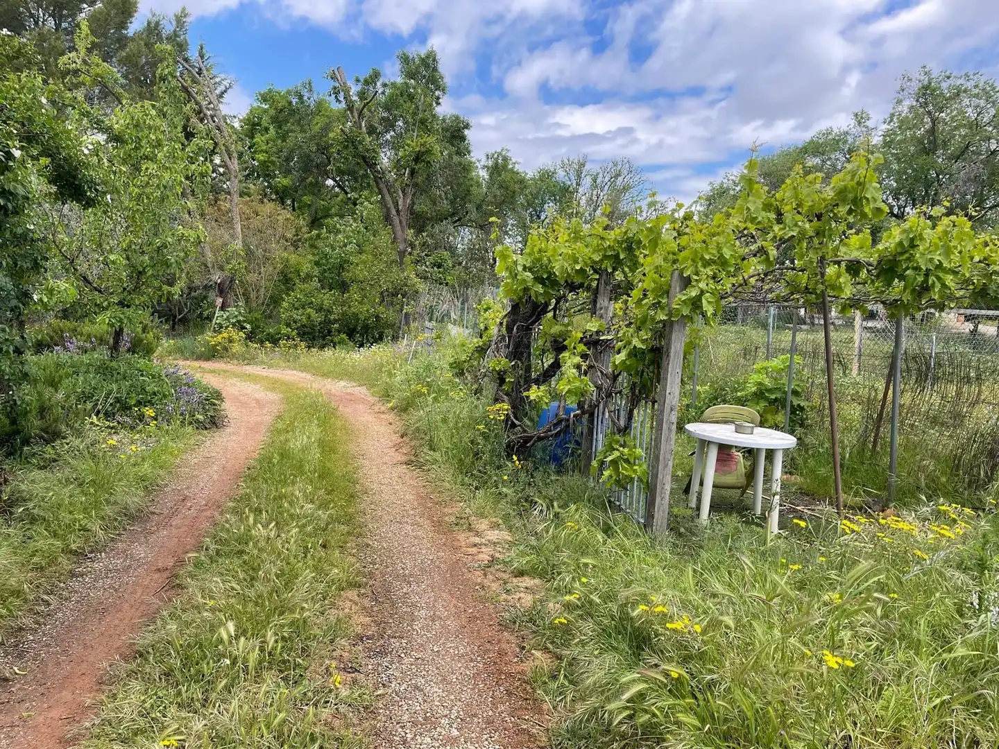 Jardí de Finca rústica en venda en Carrión de Calatrava amb Calefacció, Terrassa i Traster