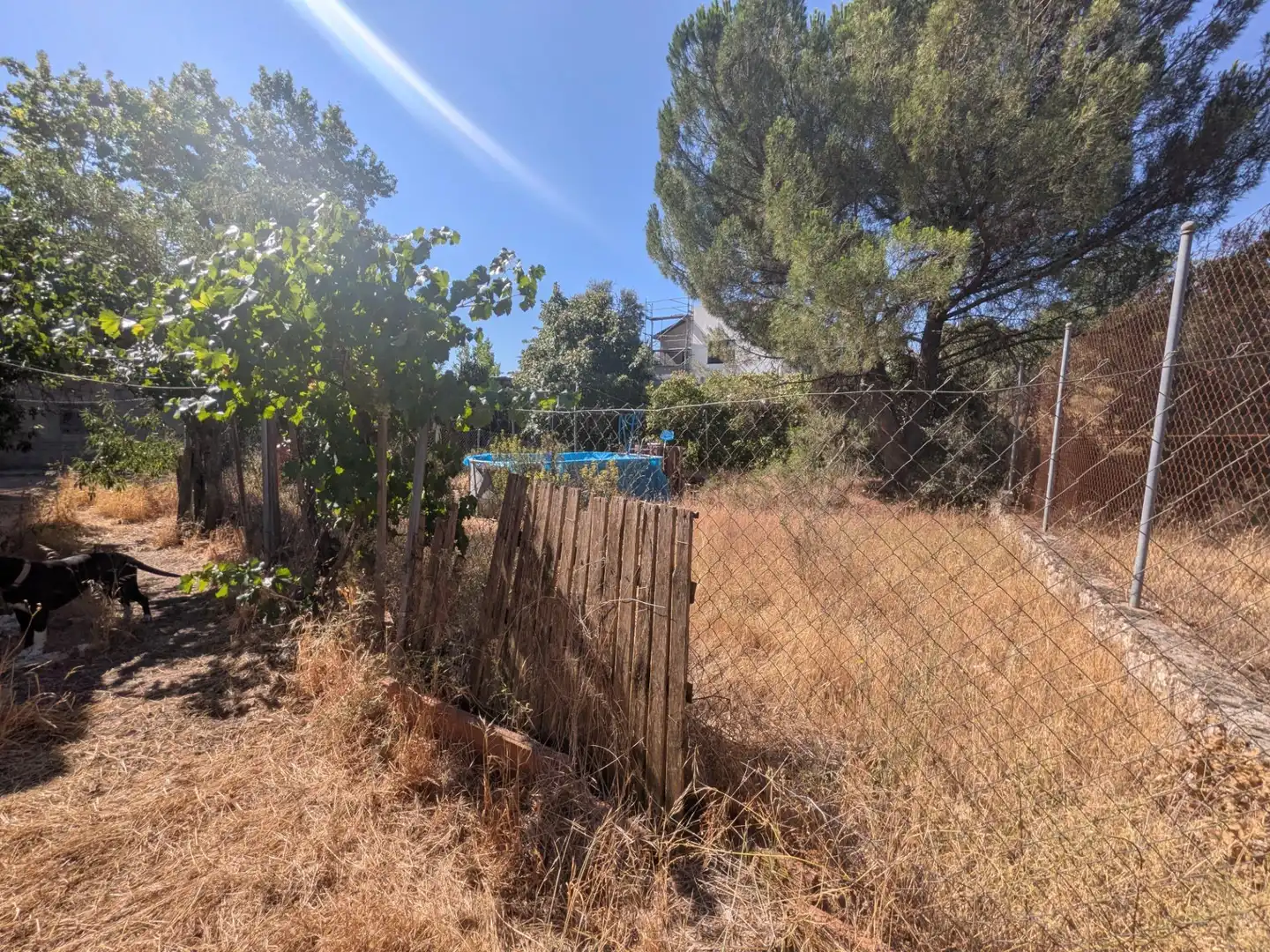 Xalet amb jardí en venda a Loranca de Tajuña, imagen 66
