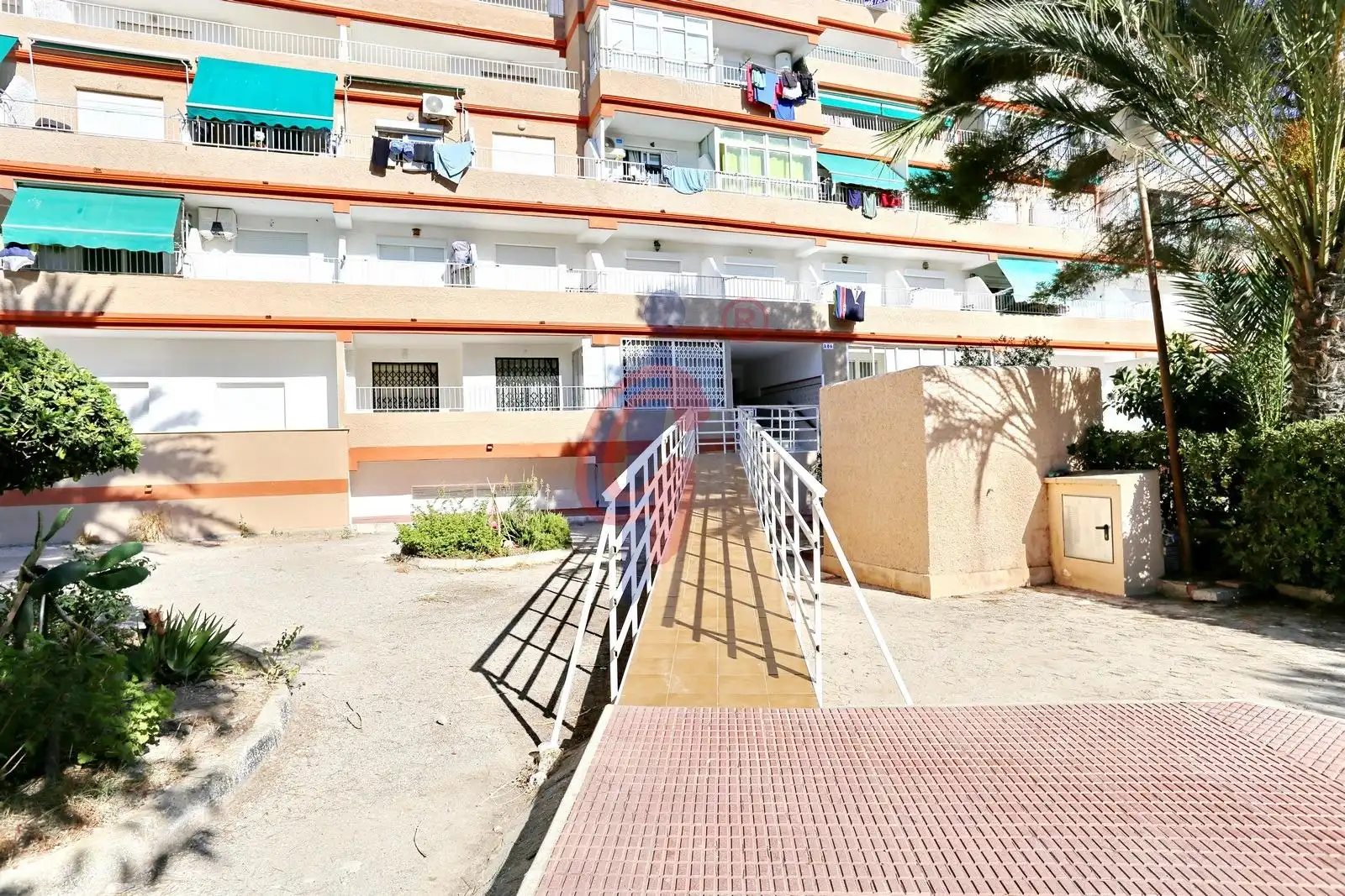 Vista exterior de Piso en venta en Guardamar del Segura con Amueblado