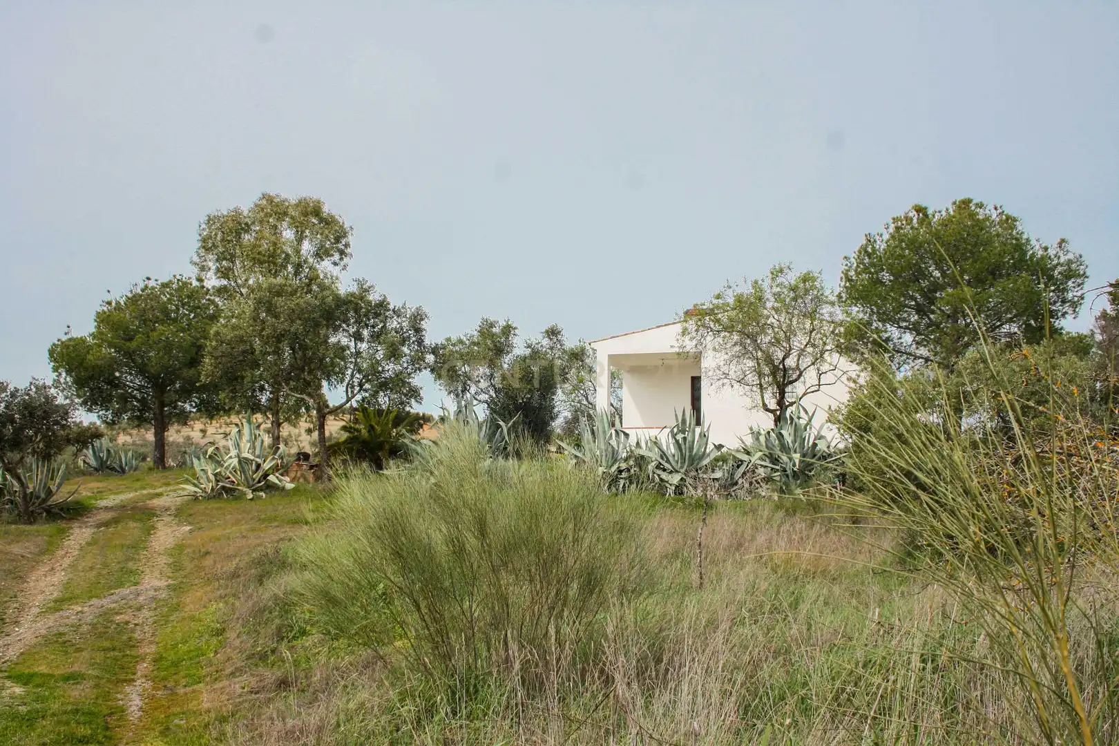 Garden of Land for sale in Azuaga