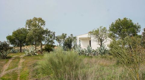 Foto 3 de Casa o xalet en venda a Azuaga, Badajoz