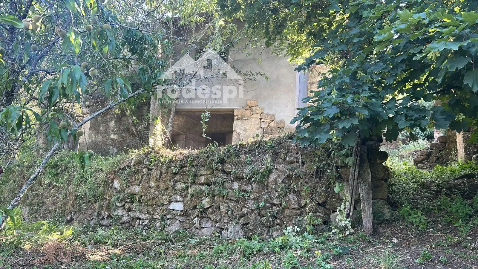 Haus zum Verkauf in Arbo, imagen 2