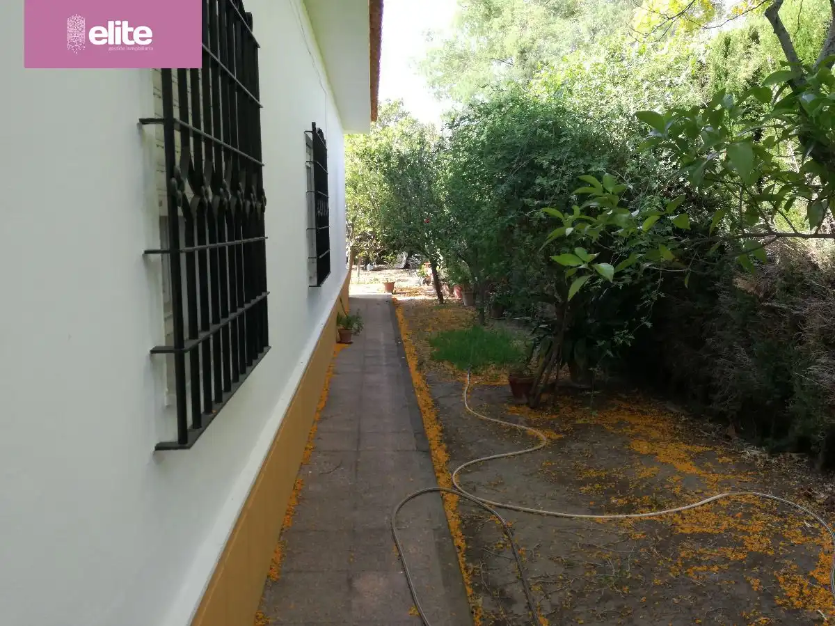 Chalet con jardín en venta en Arcos de la Frontera, imagen 5
