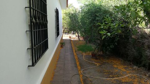 Foto 5 de Casa o xalet en venda a Arcos de la Frontera, Cádiz