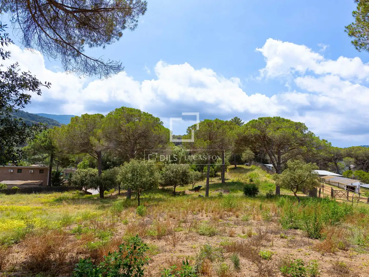 Rural land for sale in Vallromanes, imagen 18
