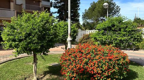 Foto 3 de Piso de alquiler en Playa de Granada, Motril