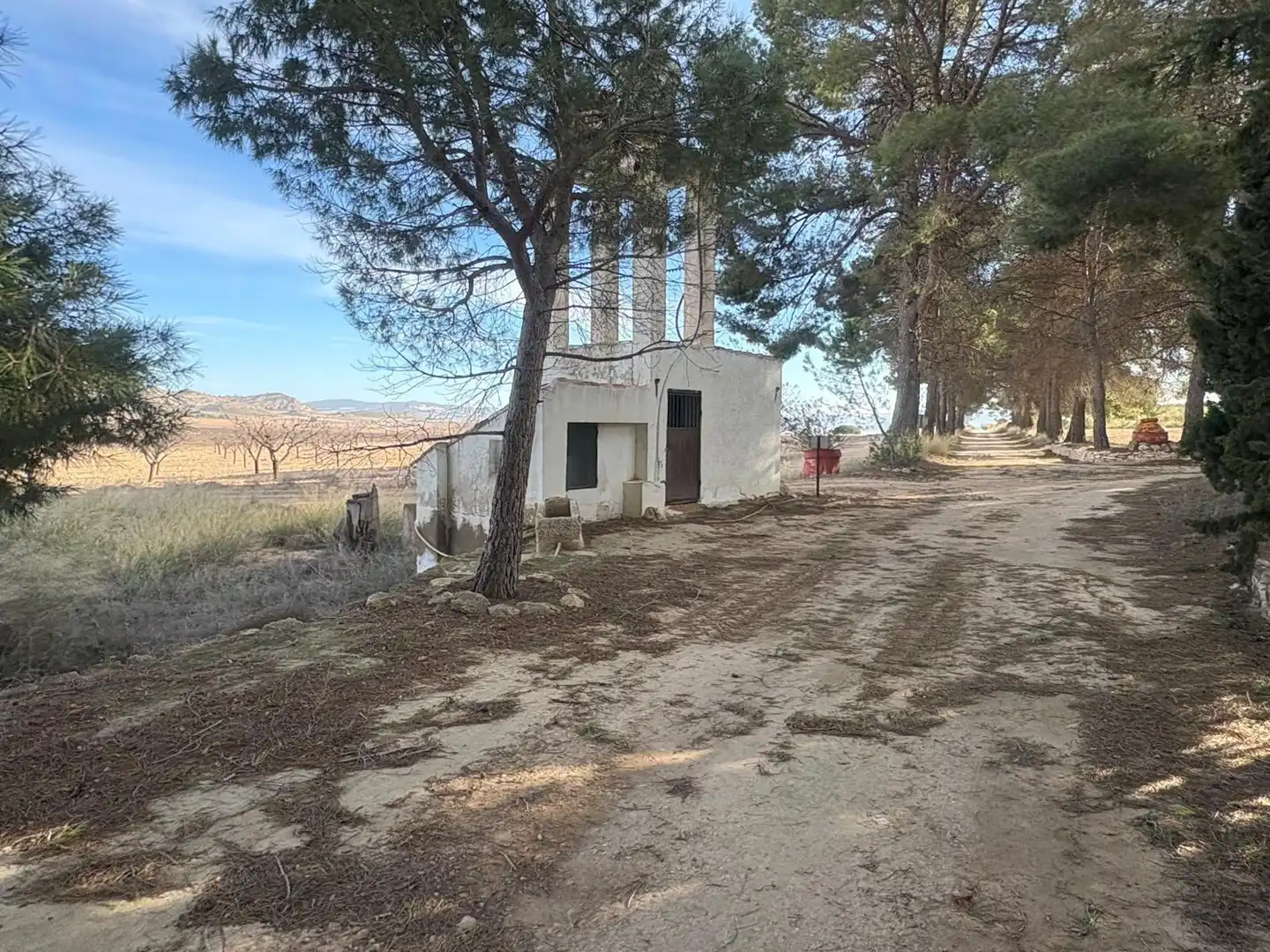 Vista exterior de Finca rústica en venta en Ontur