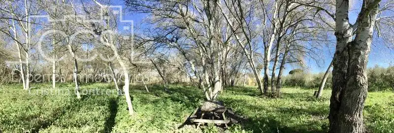 Finca rústica en venta en Pilas con Aire acondicionado, Terraza y Trastero