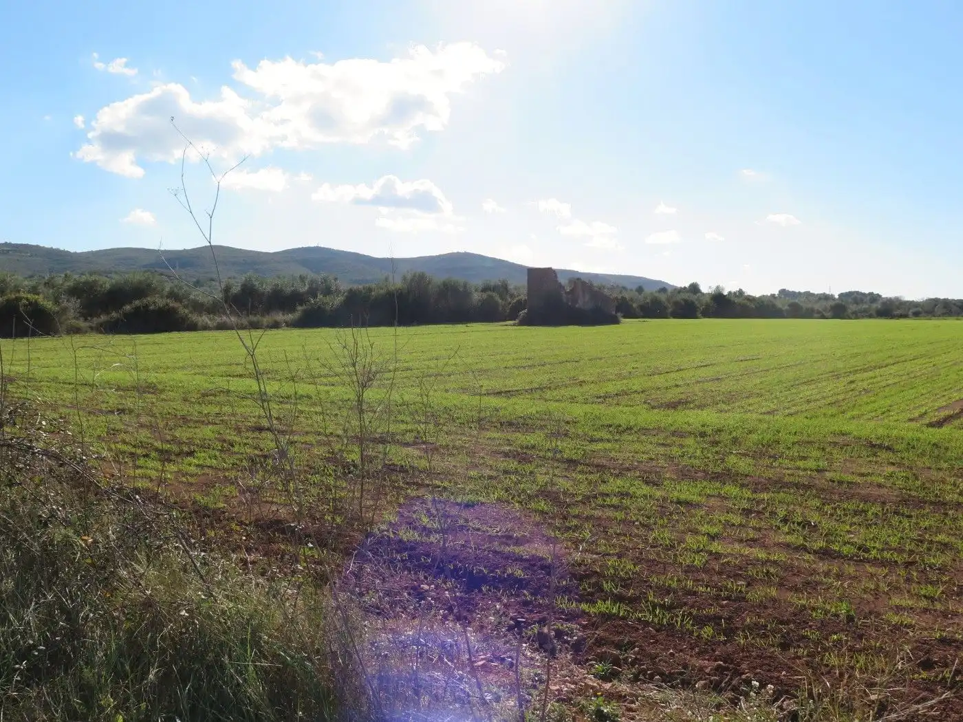 Rural land for sale in Godall, imagen 7