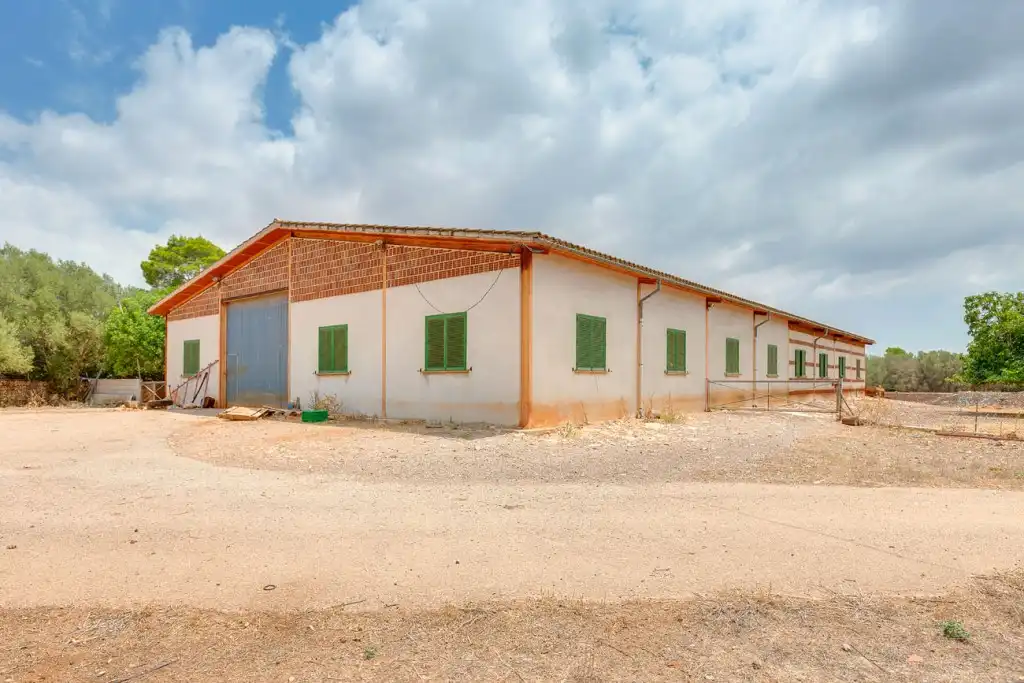 Casa rústica con piscina en venta en Llucmajor pueblo, imagen 18