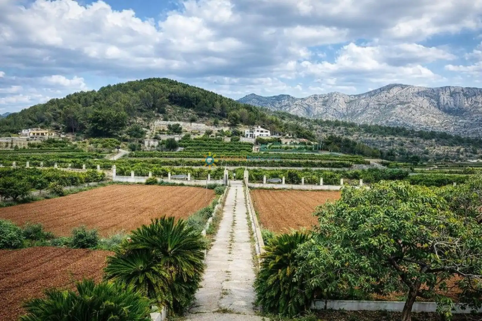 Maison rustique avec terrasse à vendre à Benifairó de la Valldigna, imagen 30