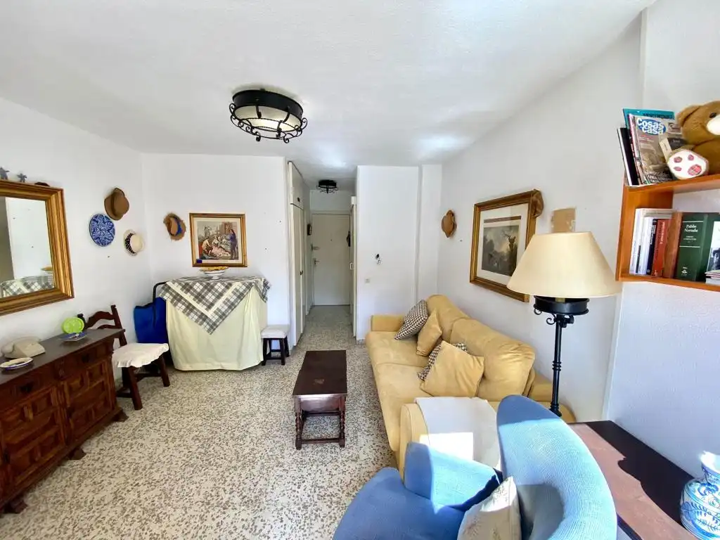 Sala d'estar de Estudi en venda en Benalmádena amb Terrassa