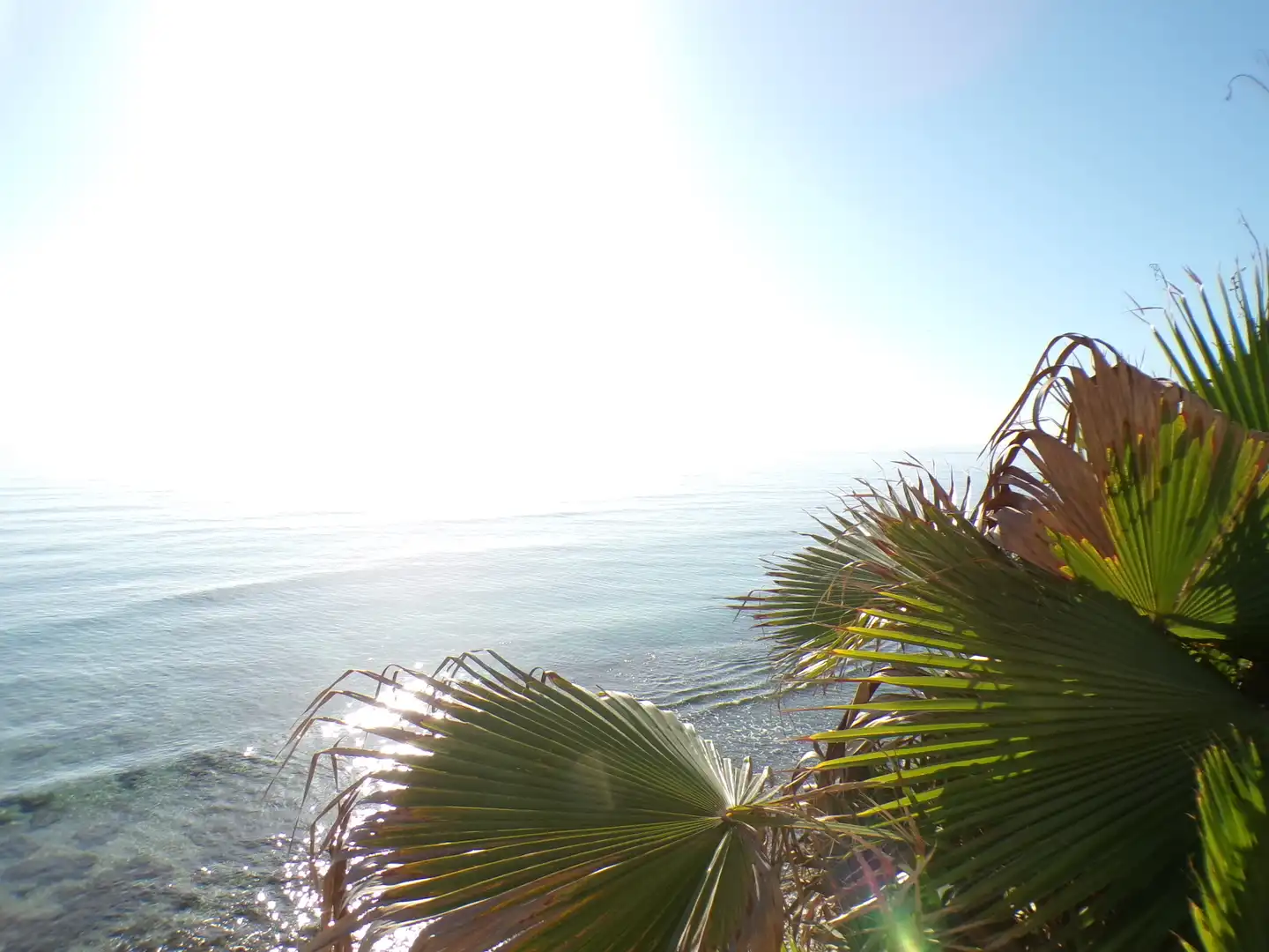 Apartments for sale in Torre de la Horadada