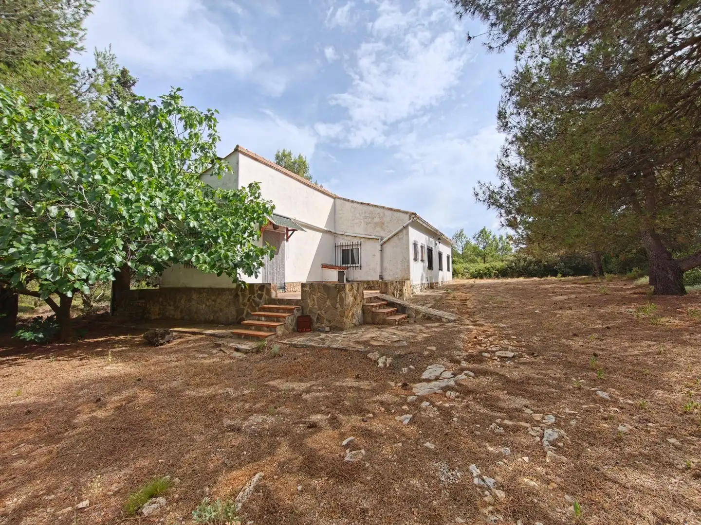 Villa con giardino in vendita a NUMERO 25 74, imagen 25