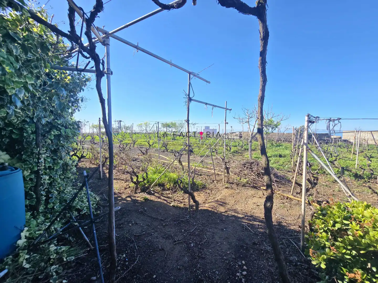 Terreno rústico en venta en Vilaflor de Chasna, imagen 4