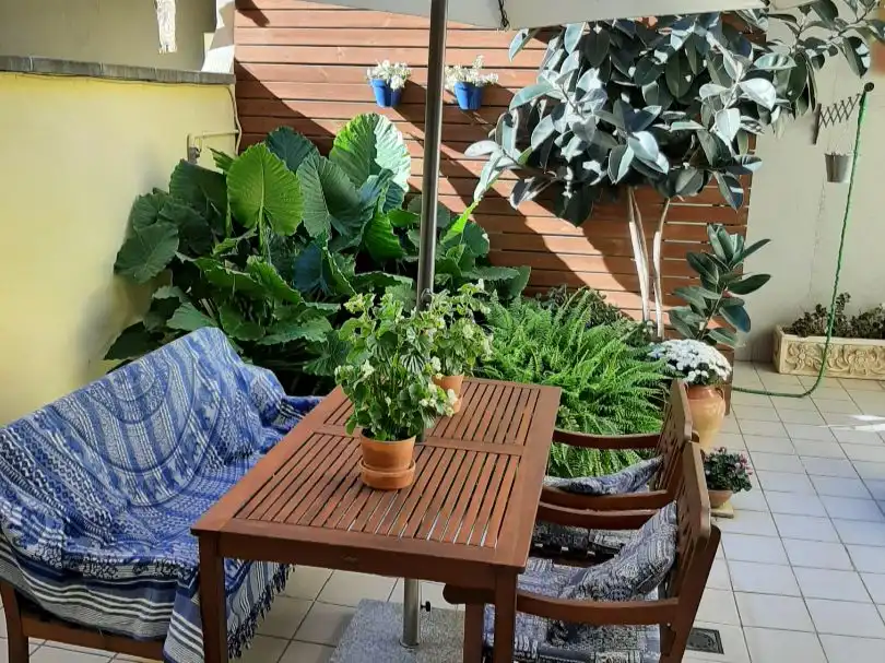 Wohnung mit Aufzug zum Verkauf in Rda Alfons X, el savi 71, imagen 2