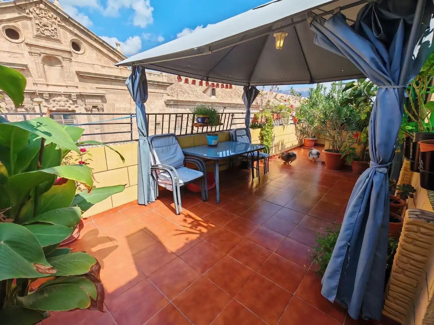 Terrace of Attic for sale in Orihuela  with Air Conditioner, Terrace and Furnished