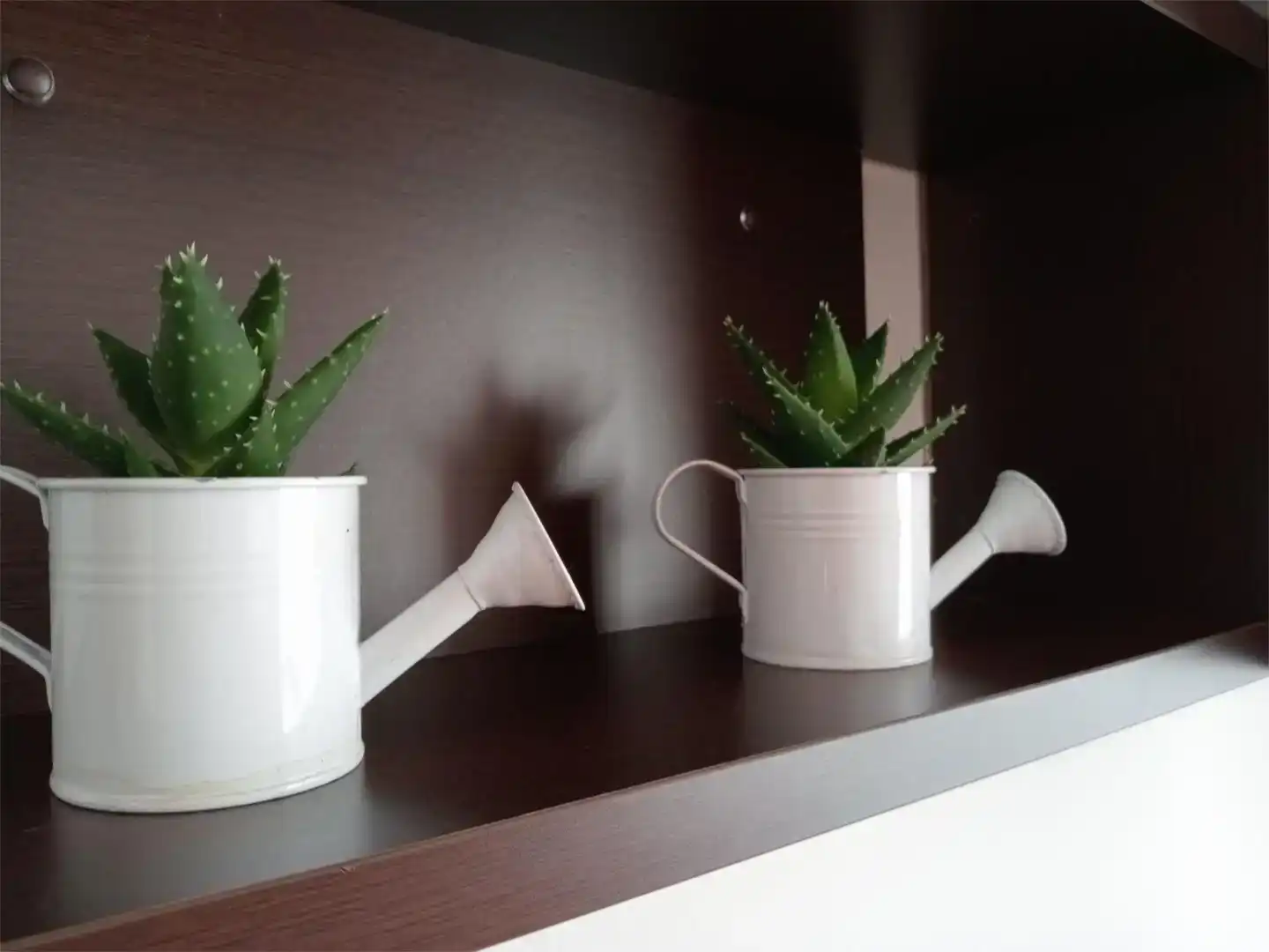 Garden of Flat for rent in Los Rosales