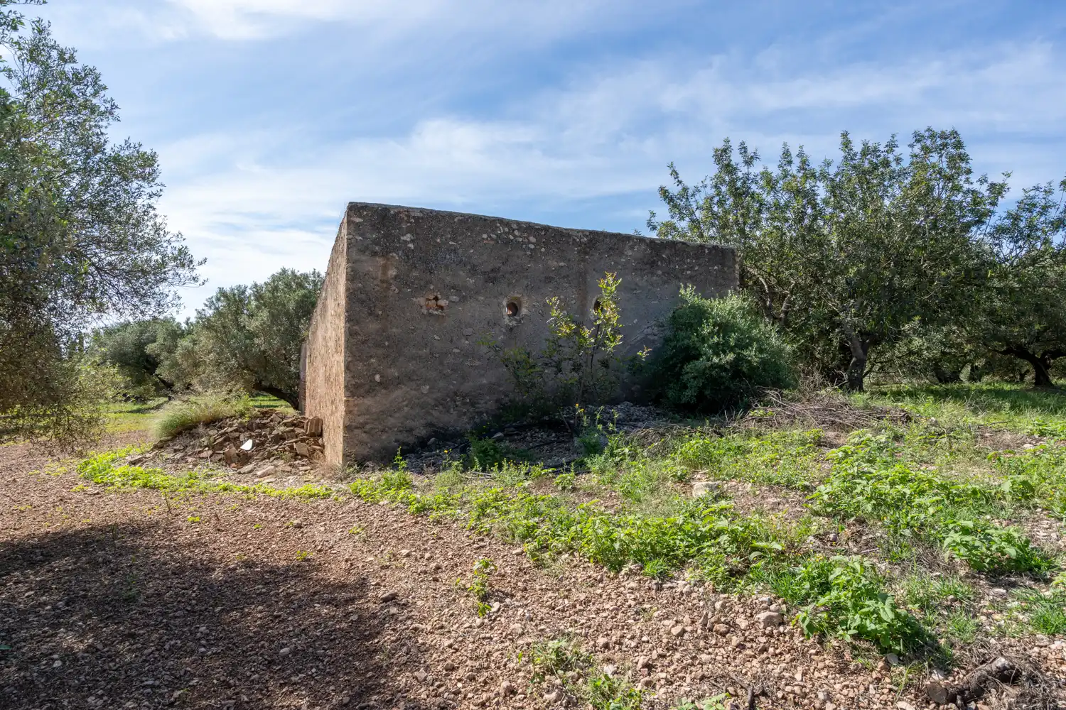 Terreno rustico in vendita a Camí de Terrapico 21, imagen 16