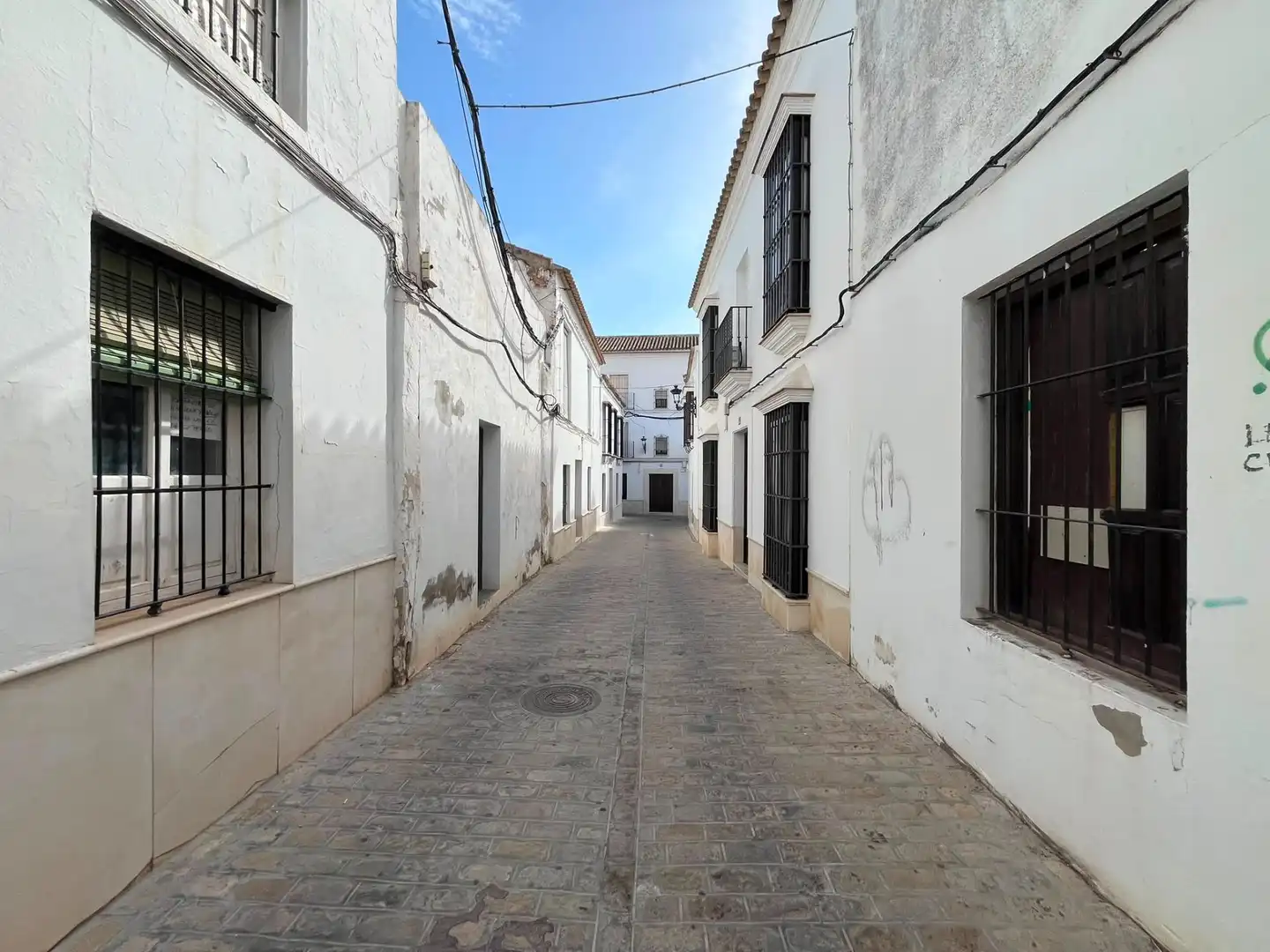 Exterior view of Houses for sale in Osuna