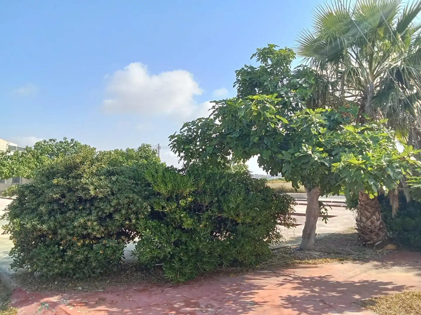 Houses for sale in Torrevieja  with Air Conditioner, Private garden and Furnished