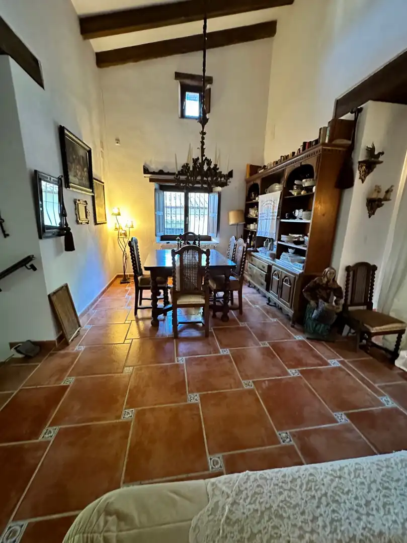 Detached house with garden for sale in Centro, imagen 45