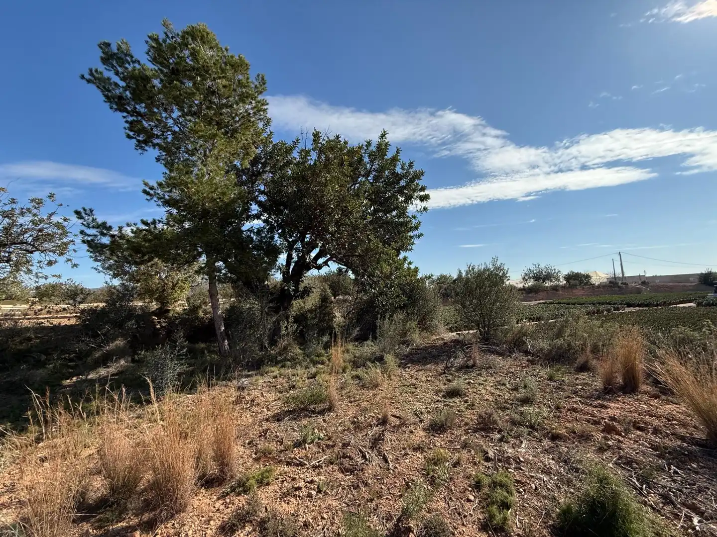 Terrain rustique à vendre à Urbanizaciones, imagen 2
