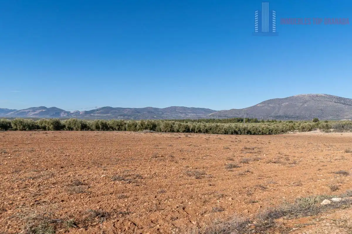 Terreni e lotti in vendita a Pago cortijo de las Monjas Parcela 19, imagen 34