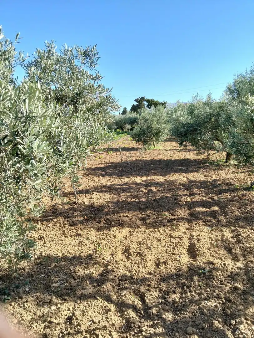 Country homes for sale in Chiclana de la Frontera