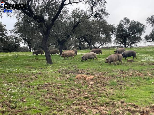 Terreno en Venta en Alconchel