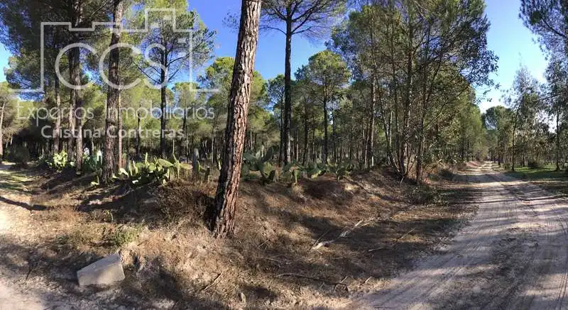 Terreni e lotti in vendita a Almonte ciudad, imagen 28