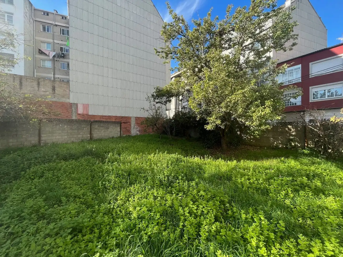 Rural land for sale in Calle Río Porto 35, imagen 4