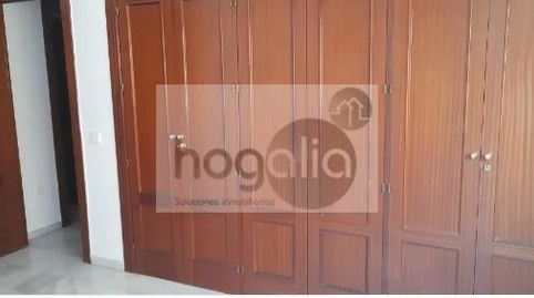 Photo 5 of Flat for rent in La Calzada - La Florida, Sevilla Capital