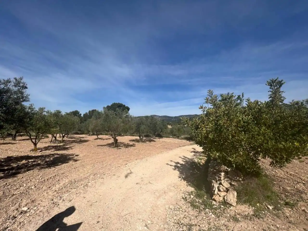 Chalet con jardín en venta en Calle Poligono, imagen 62