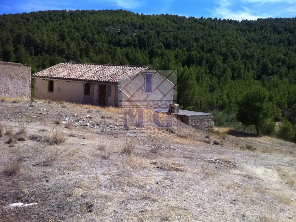 Finca rústica en venta en Yeste