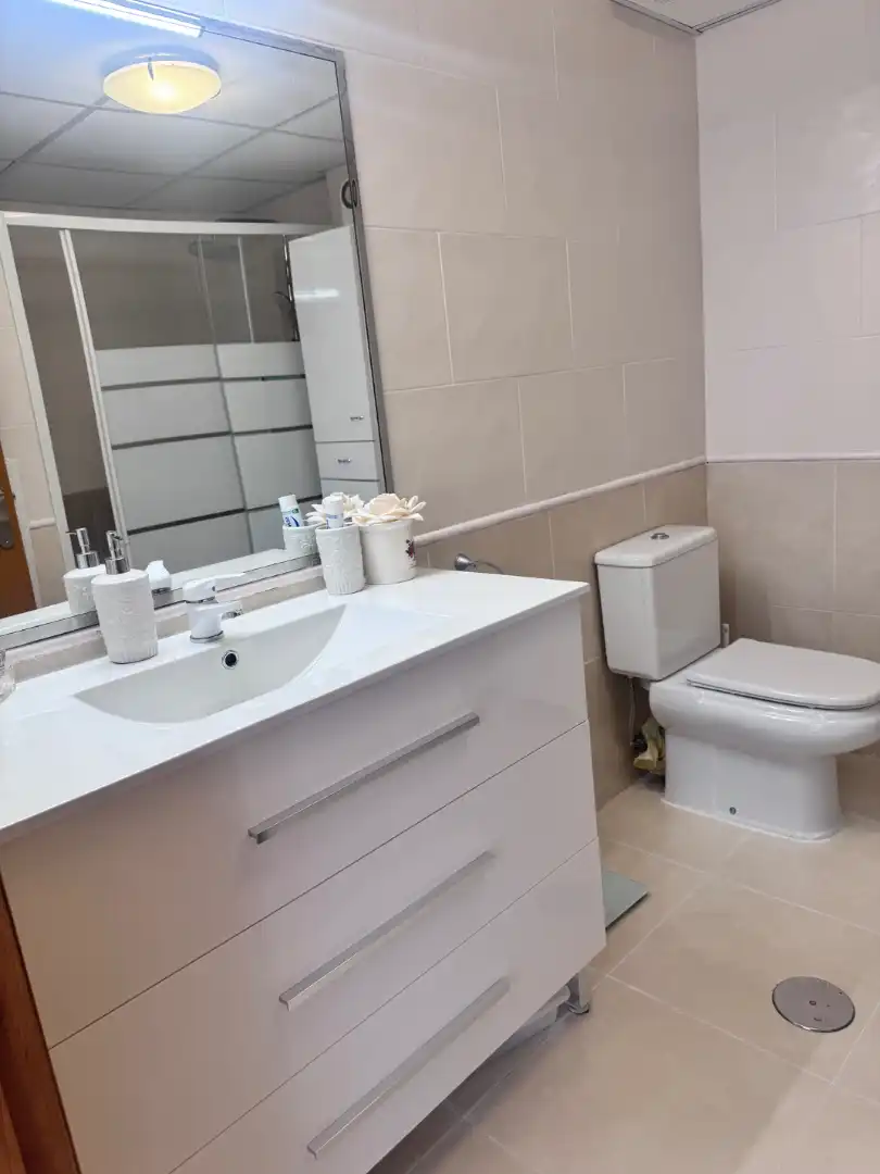 Flat with terrace for sale in Avenida Doctor Mariano Ruiz Canovas 24, imagen 12