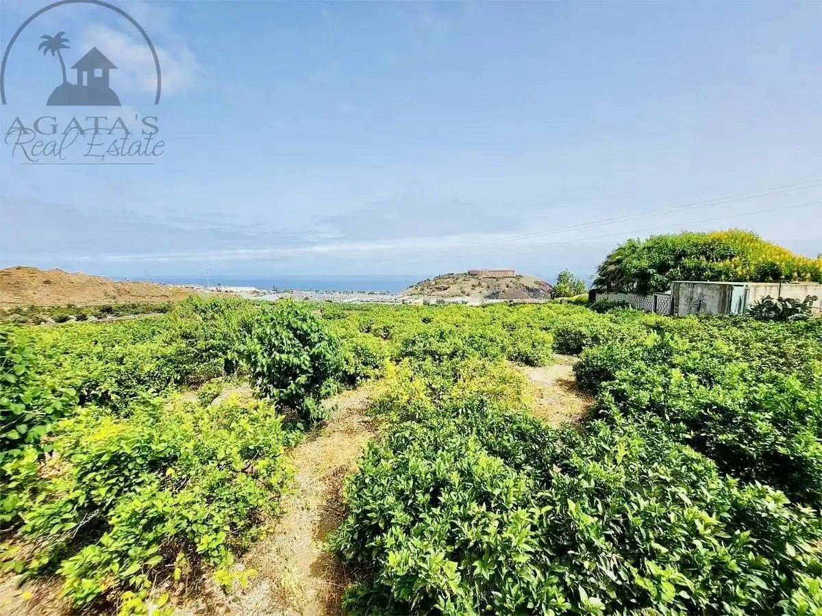 Finca rústica en venta en La Orotava con Jardín privado y Terraza