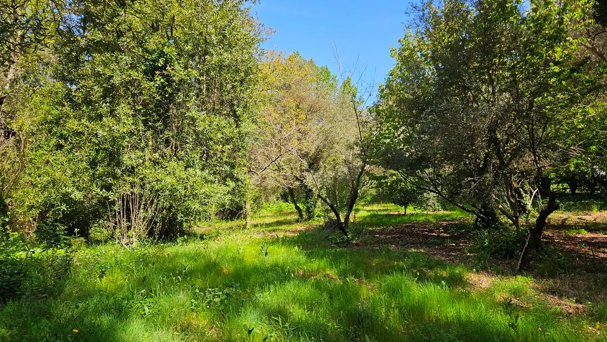 Casa o chalet en venta en Santa Ana la Real con Jardín privado, Terraza y Trastero