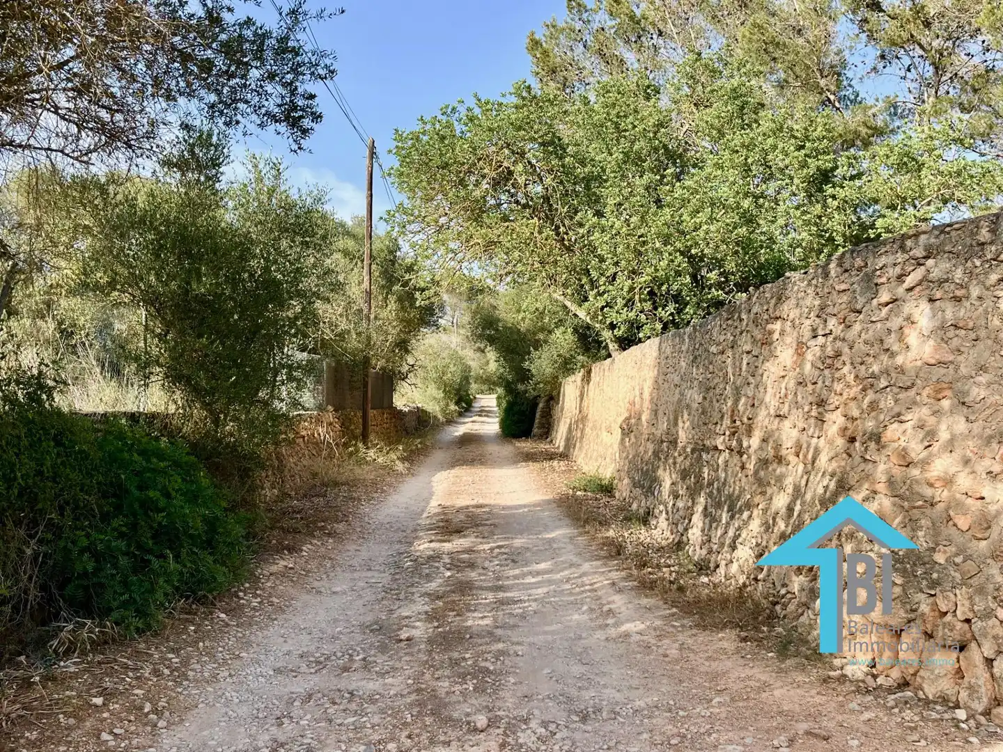 House with pool for sale in Llucmajor pueblo, imagen 36