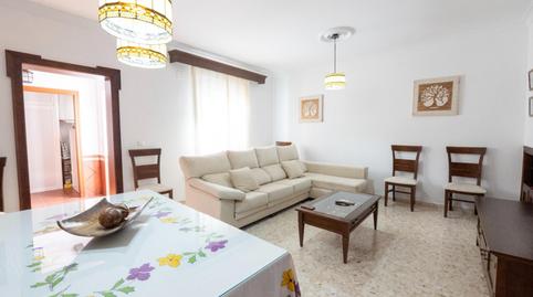 Foto 3 de Casa o chalet en venta en Los Molares, Sevilla