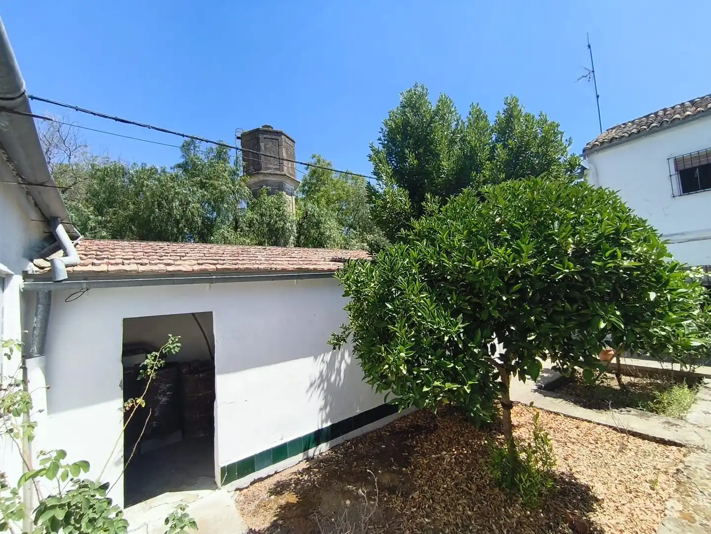 Habitatge amb jardí en venda a Avenida de la Constitucion 57, imagen 17