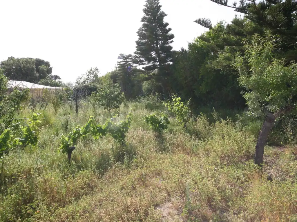 Casa o chalet en venta en Chipiona