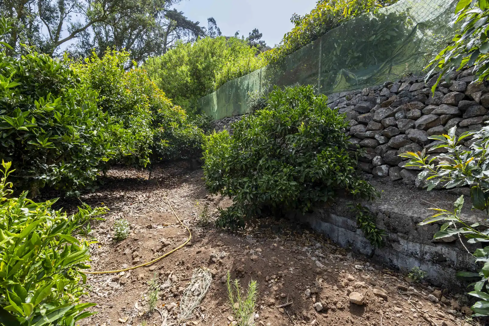 Rural land for sale in Tegueste, imagen 14