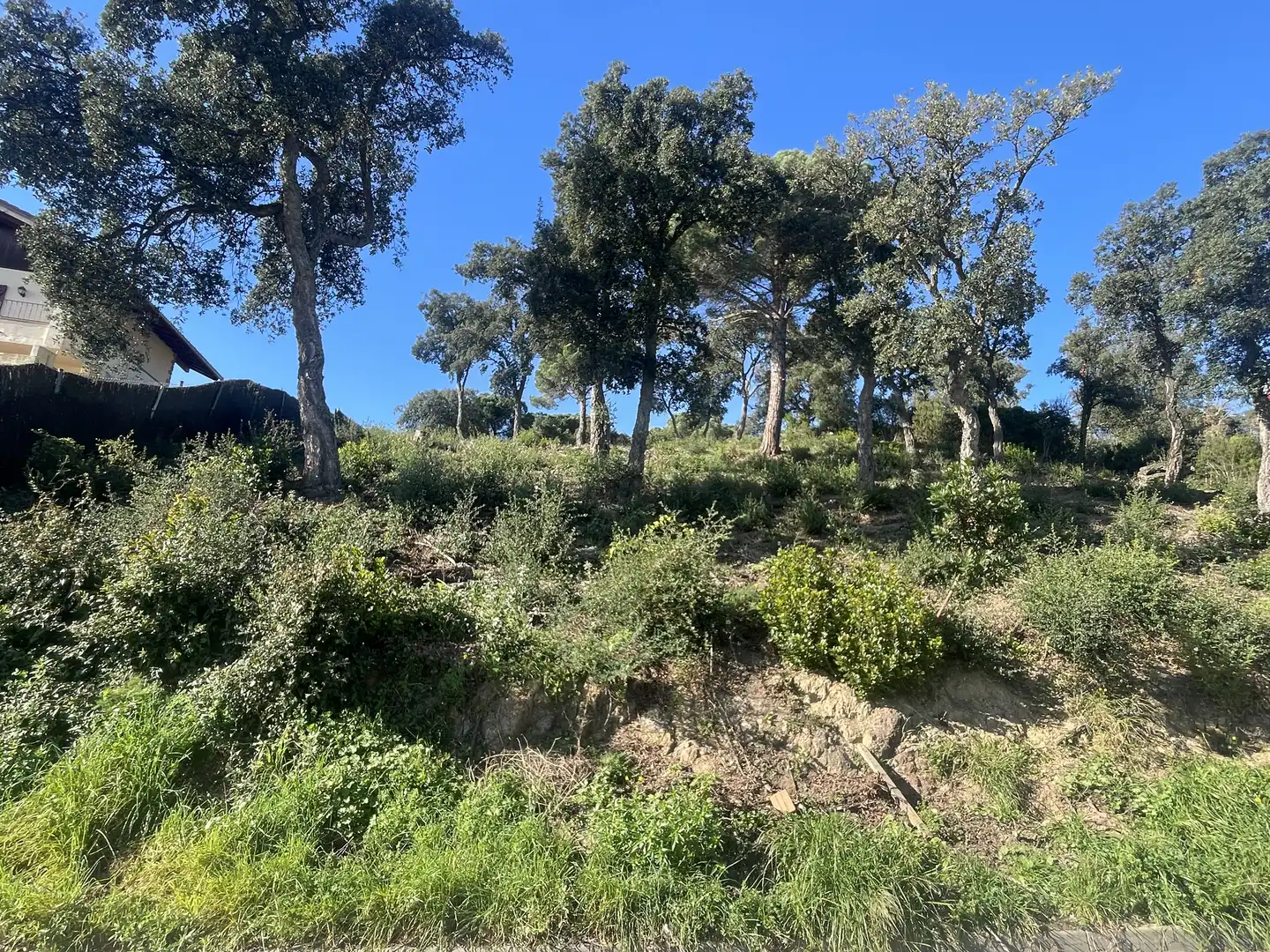 Wohnbaugrundstück zum Verkauf in Carrer de la Gauxa 86